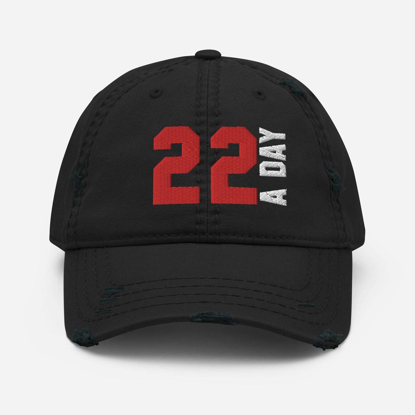 Distressed Dad Hat - "22 A Day"