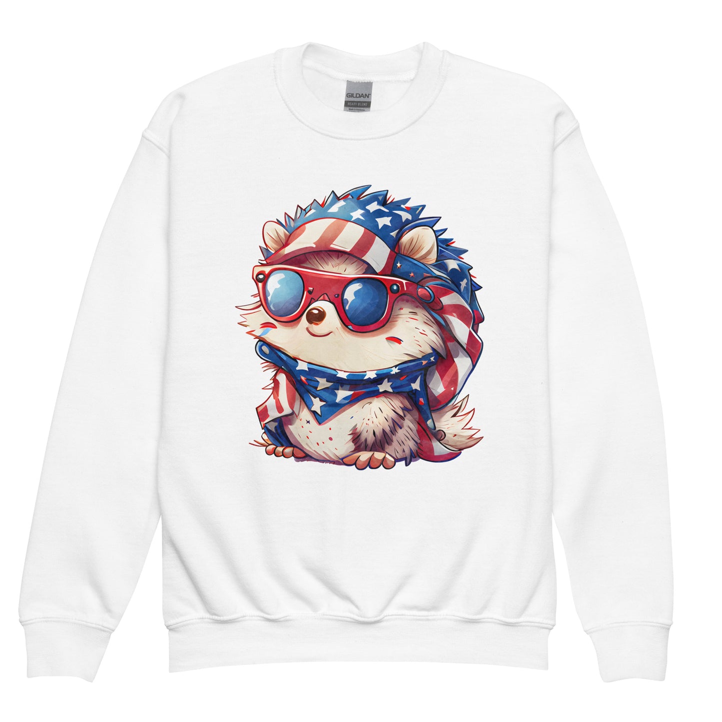 Patriotic Kids Sweatshirt "Patriotic Hedgehog" H300017